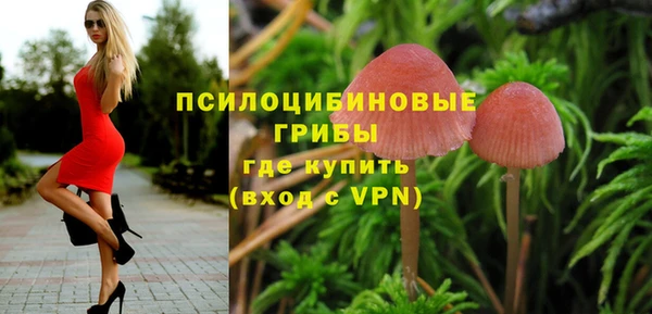 эйфоретик Абаза